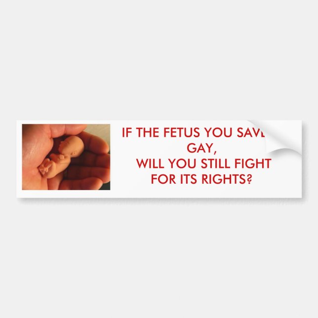foetus, IF THE FETUS YOU SAVE IS GAY, WILL YOU Bumper Sticker (Front)