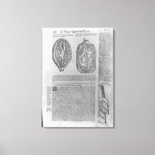 Foetus, illustration from 'Oeuvres' Canvas Print