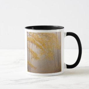 Fog and Autumn foliage, Great Smoky Mountains Mug