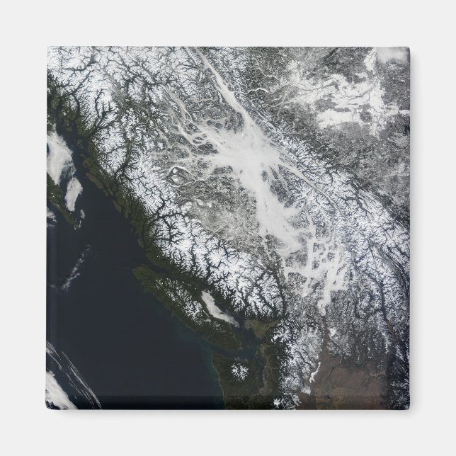 Fog and snow in British Columbia Magnet (Front)