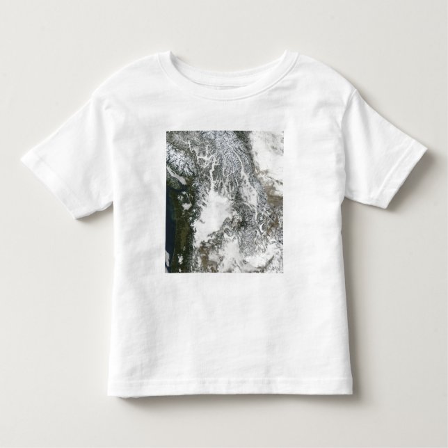 Fog and snow in the Pacific Northwest (true col Toddler T-Shirt (Front)