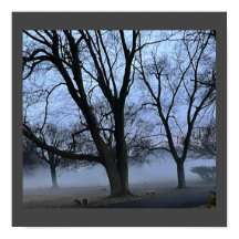 Fog and Trees Poster
