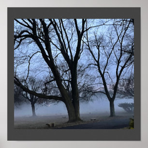 Fog and Trees Poster