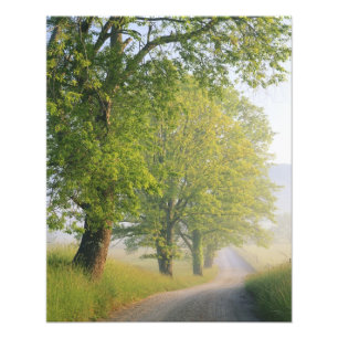 Fog covered road, Cades Cove, Great Smoky Photo Print