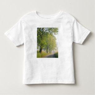 Fog covered road, Cades Cove, Great Smoky Toddler T-Shirt