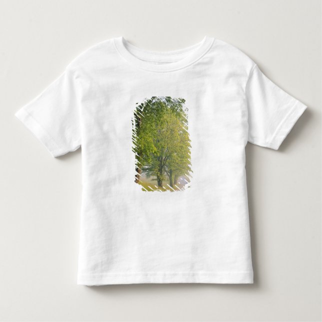 Fog covered road, Cades Cove, Great Smoky Toddler T-Shirt (Front)