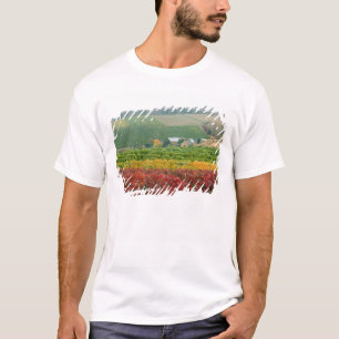 Fog creeps over Gehring Brothers Winery nestled T-Shirt