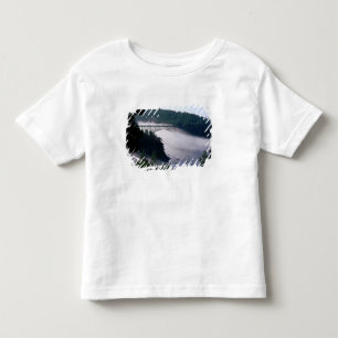 Fog drifts under the Deception Pass bridge at Toddler T-Shirt