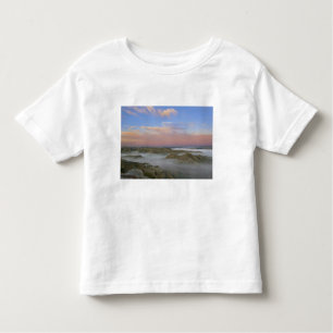 Fog from the Little Missouri River hangs in the Toddler T-Shirt