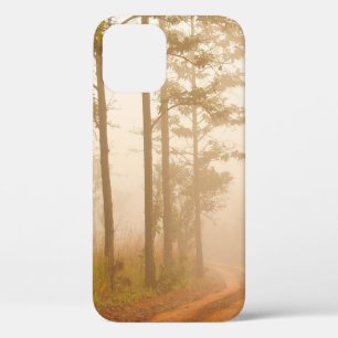 Fog in pine forestforest,beautiful,black,dark,dawn iPhone 12 case