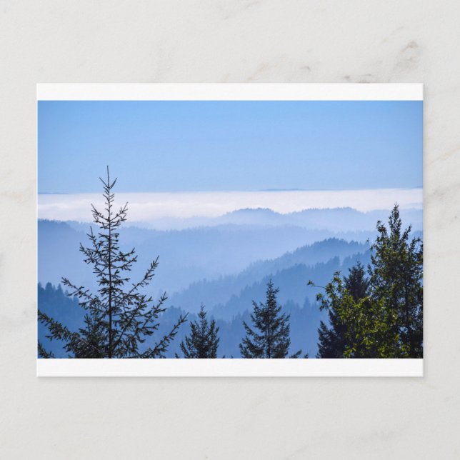 Fog Lifting Postcard (Front)
