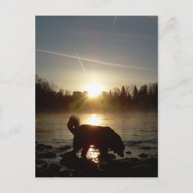 Fog over Mississippi River Postcard (Front)