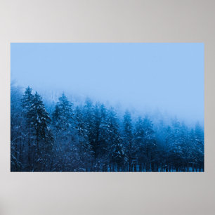 Fog over snow covered forest at lake Bohinj, Slove Poster