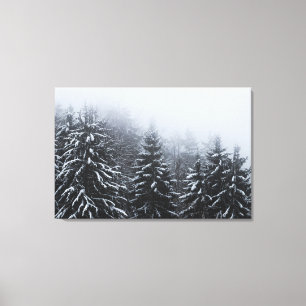 Fog over snow covered spruce forest in winter  canvas print