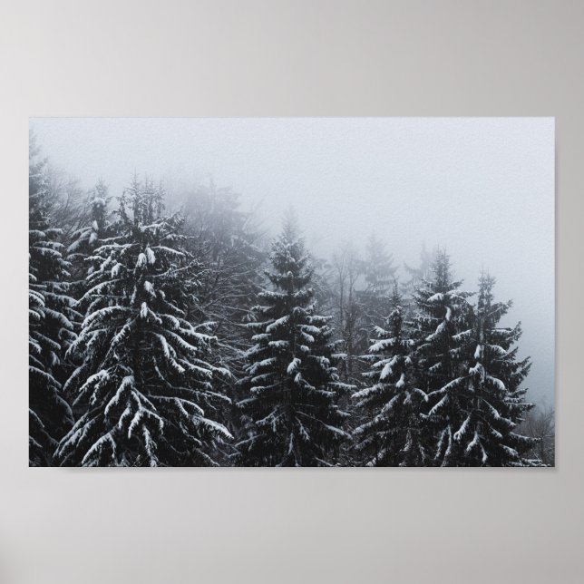Fog over snow covered spruce forest in winter poster (Front)