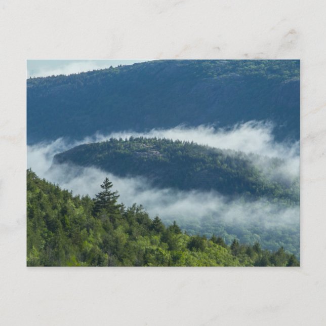 Fog Streaming by Connors Nubble, Acadia NP, Maine Postcard (Front)