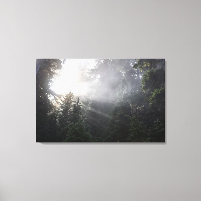 Fog & Sun Beams in a Washington Forest Canvas Print (Front)