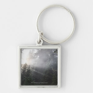 Fog & Sun Beams in a Washington Forest Key Ring