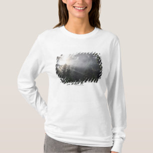Fog & Sun Beams in a Washington Forest T-Shirt
