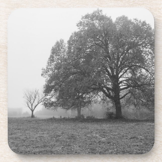 Foggy Autumn Morning Grayscale Coaster (Front)
