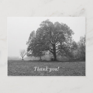 Foggy Autumn Morning Grayscale Postcard