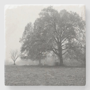 Foggy Autumn Morning Grayscale Stone Coaster
