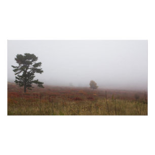Foggy Big Meadows during Fall, Virginia Photo Print