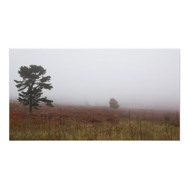 Foggy Big Meadows during Fall, Virginia Photo Print (Front)