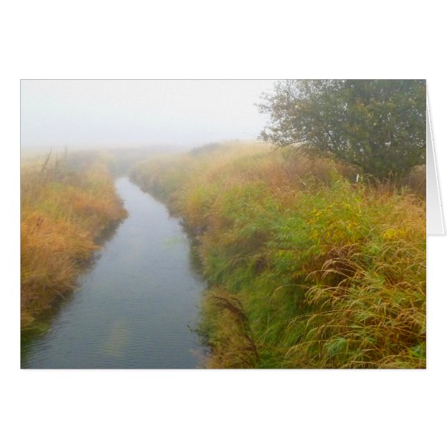 Foggy creek 2 (Front Horizontal)