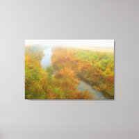 Foggy creek