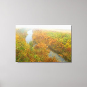Foggy creek canvas print