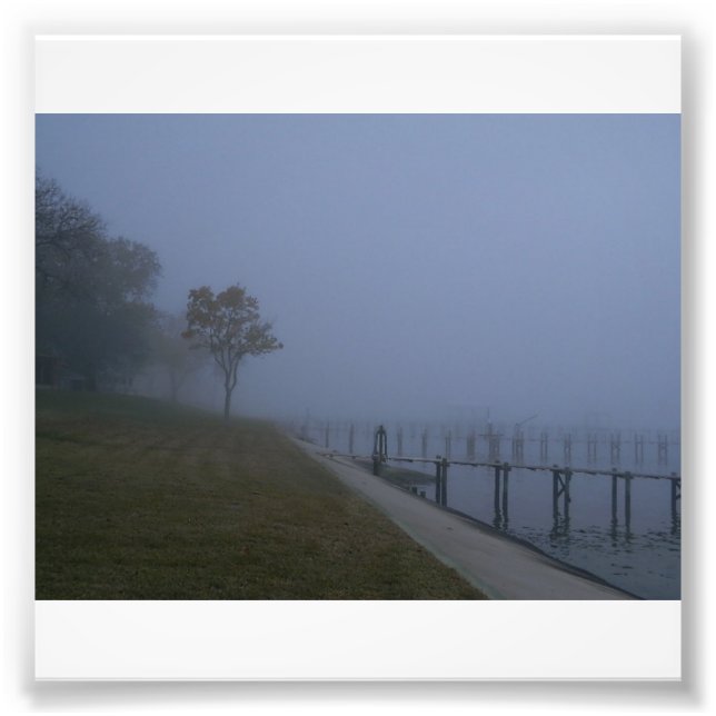 Foggy Day Tree Photo Print (Front)