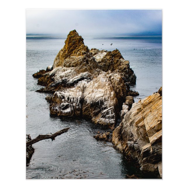Foggy Evening at Point Lobos Photo Print (Front)