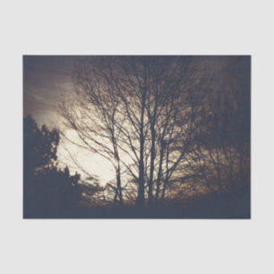 Foggy Fall Evening Tissue Paper