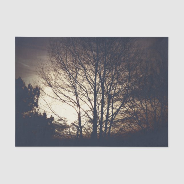 Foggy Fall Evening Tissue Paper (Front)