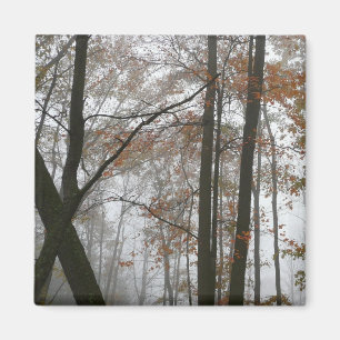 Foggy Fall in Pennsylvania Autumn Nature Magnet