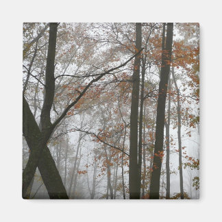 Foggy Fall in Pennsylvania Autumn Nature Magnet