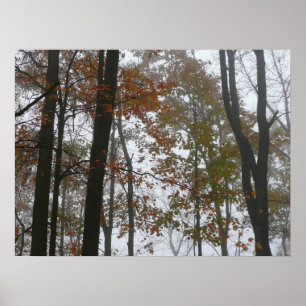 Foggy Fall in Pennsylvania Autumn Nature Poster