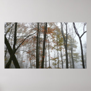 Foggy Fall in Pennsylvania Autumn Nature Poster