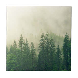 Foggy Forest Winter Trees Tile
