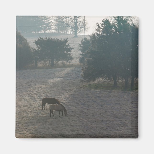 Foggy Grazing Magnet (Front)