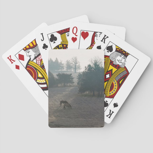 Foggy Grazing Playing Cards (Back)