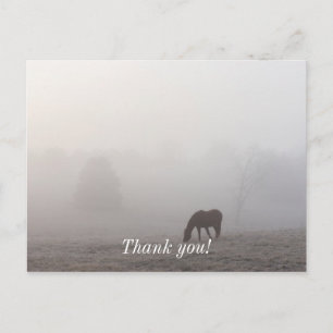 Foggy Grazing Postcard