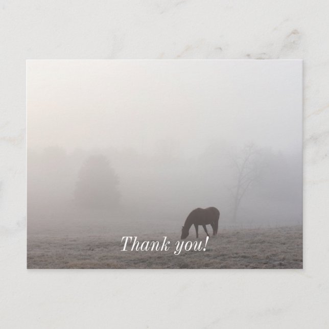 Foggy Grazing Postcard (Front)