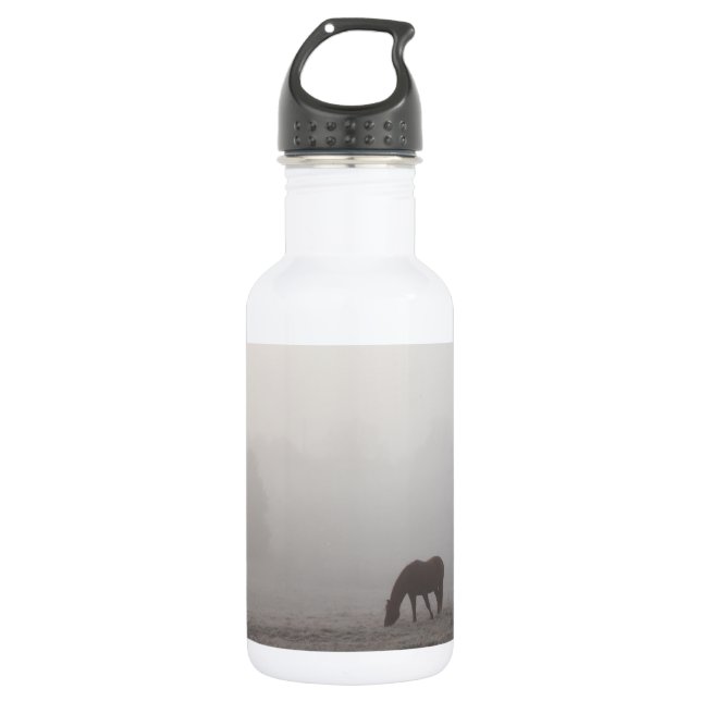Foggy Grazing Stainless Steel Water Bottle (Front)