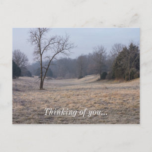 Foggy Meadow Postcard