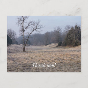 Foggy Meadow Postcard