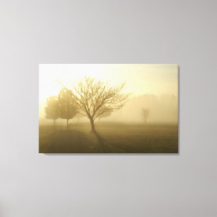 Foggy Misty Morning in the Ozarks Canvas Print
