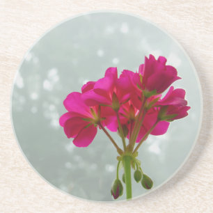 Foggy Morning Geranium Sandstone Coaster