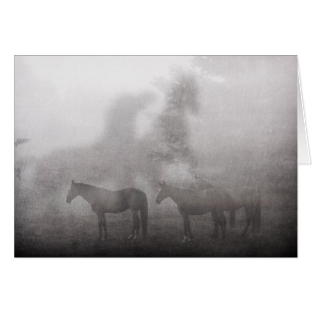 Foggy Morning Horse (Front Horizontal)